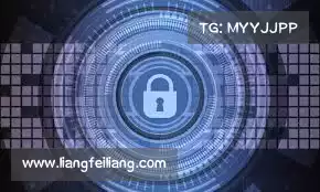 白鲸加速器免费——极速连接,流畅体验,畅享无烦恼的在线世界!